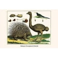 thumbnail image 1 of Malayan Porcupines & Ostrich-Fine Art Canvas Print (20" x 30"), 1 of 1