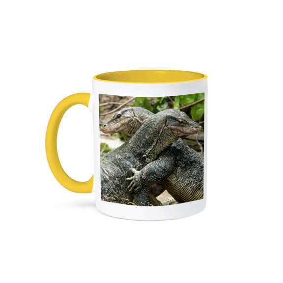 3dRose, Malaysia, Monitor Lizards fighting-AS23 JST0075 - Jay Sturdevant, 11oz Two-Tone Yellow Mug