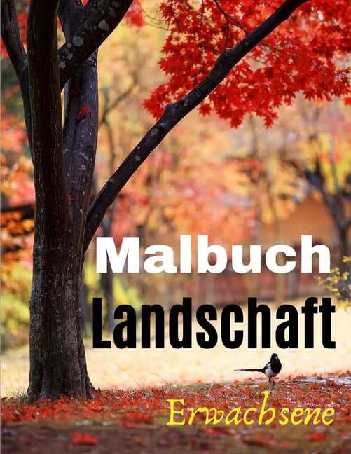 Malbuch Erwachsene Landschaft: SchÃ¶ne Landschaften - 50 Illustrationen fÃ¼r Stressabbau und Entspannung - Berge - Den Wal, (Paperback)