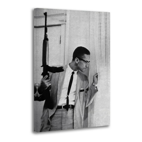 Malcolm X By Any Means Necessary Poster Cool Artworks Painting Wall Art Canvas Prints Hanging Picture Home Decor Posters Gift 16x24inch(40x60cm)