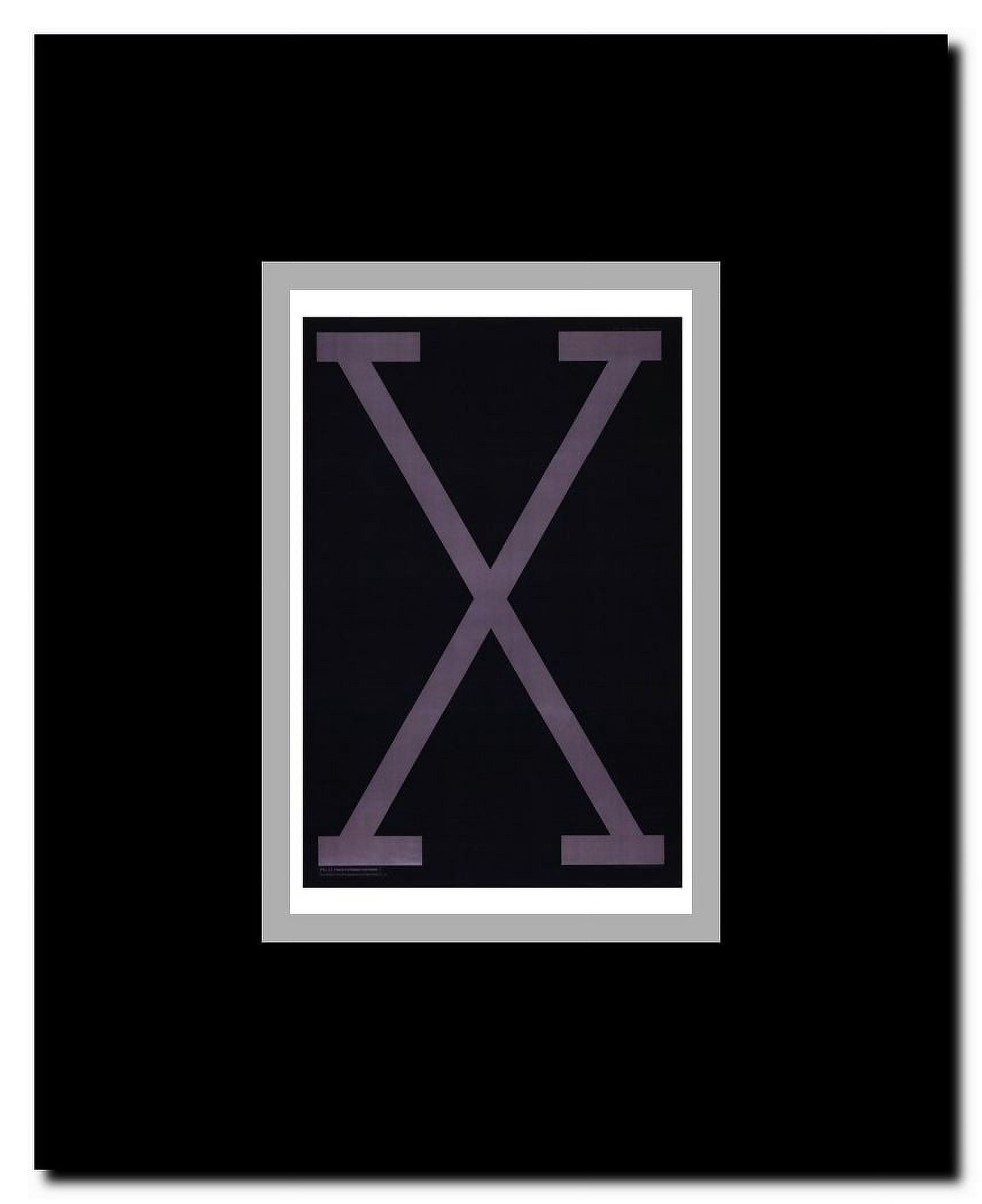 Malcolm X Framed Movie Poster