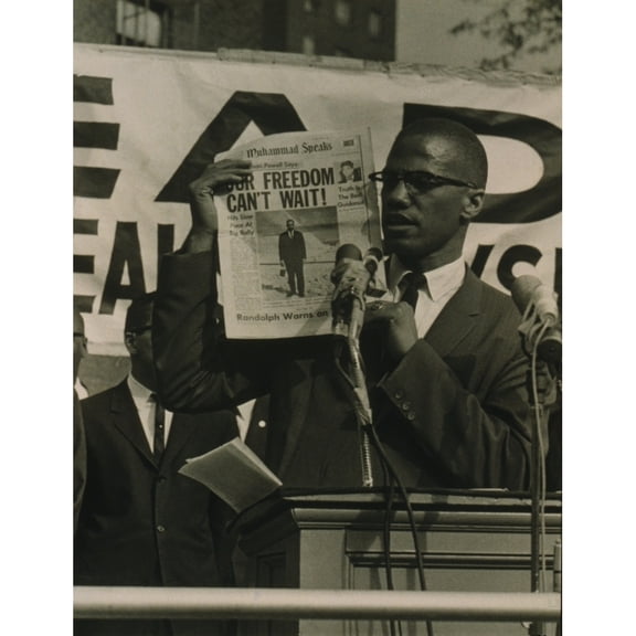 Malcolm X History (18 x 24)