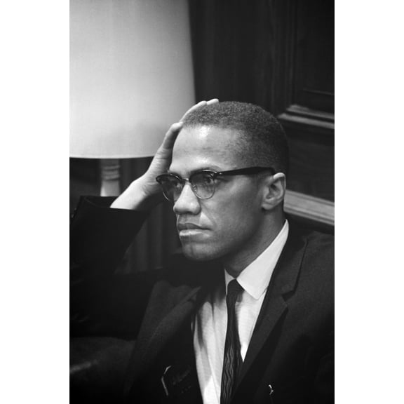 Malcolm X History (24 x 36)