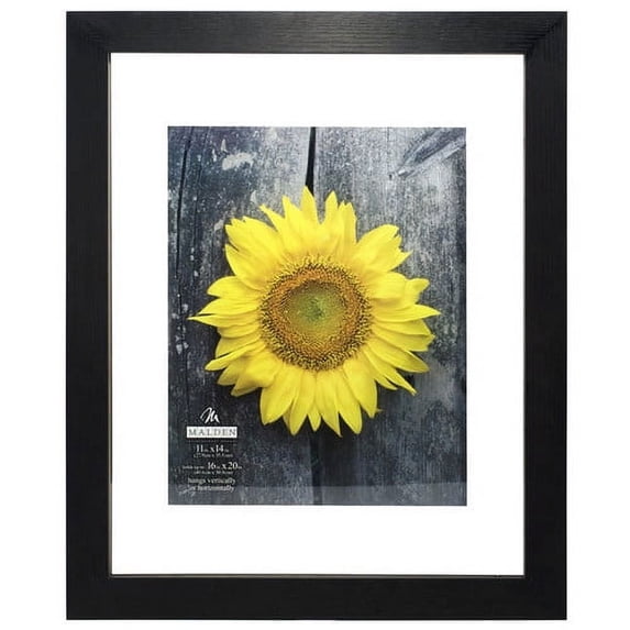Malden Distressed Float Picture Frame