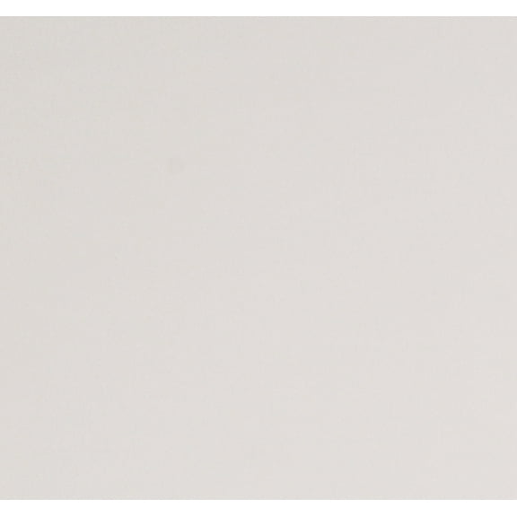 Malden Polar Tec(R) Malden Polar Fleece White Solid Fleece Fabric by the Yard (A621.24)