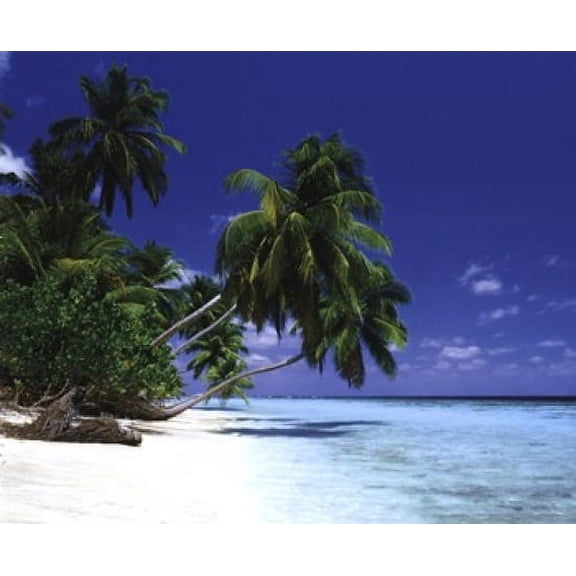 Maldive Morning Poster (20 x 16)