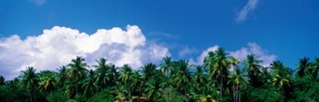 Maldives Canvas Art - Panoramic Images (18 x 6)