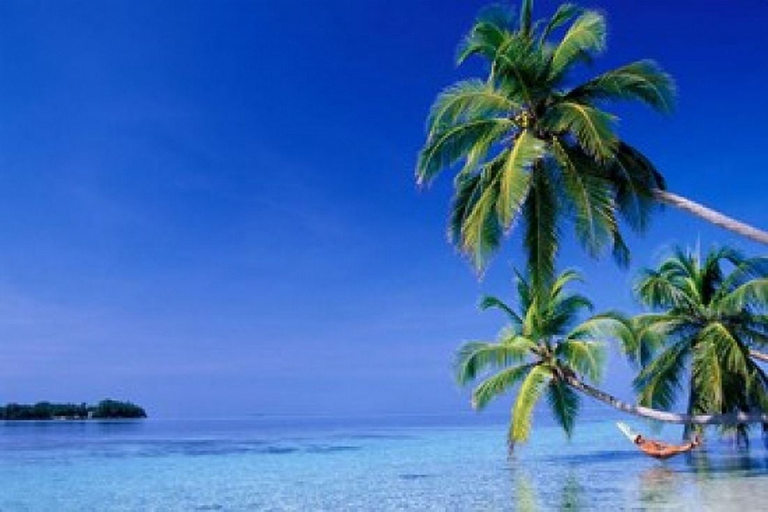 Maldives Felidhu Atoll Man relaxing in hammock Canvas Art - Michele Westmorland DanitaDelimont (22 x 15)