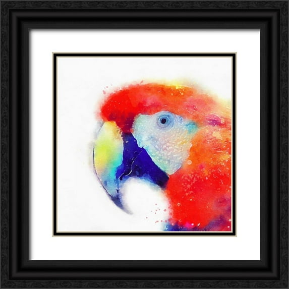Maldonado, Jacqueline 20x20 Black Ornate Wood Framed with Double Matting Museum Art Print Titled - The Articulate II