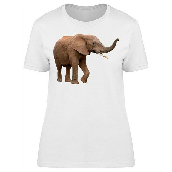 Male African Elephant Big T-Shirt Women -Image by Shutterstock, Female 3X-Large