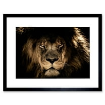Male African Lion Face Cat Framed Wall Art Print