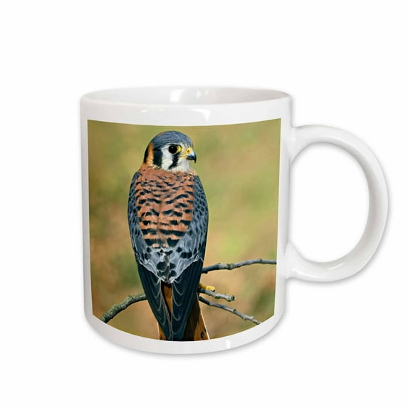 3drose, Male American Kestrel Bird - Na02 Aje0261 - Adam Jones, 15oz Mug