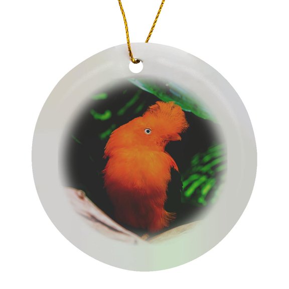 3drose, Male Andean Cock-of-the-rock. National Bird of Peru., Circle Porcelain Ornament