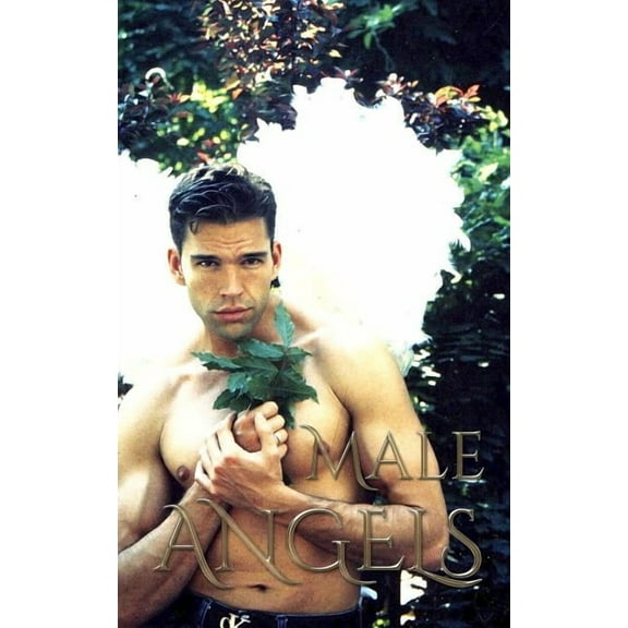 Male Angels Drawing Blank Journal: Male Angels Drawing Journal, (Paperback)