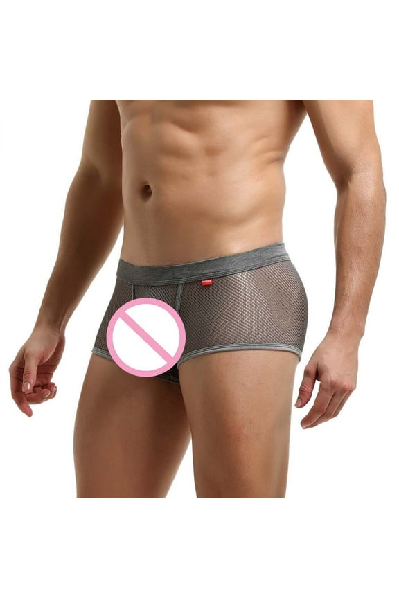 Male Casual Solid Mesh Underwear Pant Boxer Nylon Knickers Comfortable Boxers