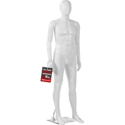 Male Form Mannequin - Versatile 360  Design, Easy Assemble, Full Body 38 Chest Male Mannequin with Adjustable Posture, Turnable Head and Flexible Limbs - White