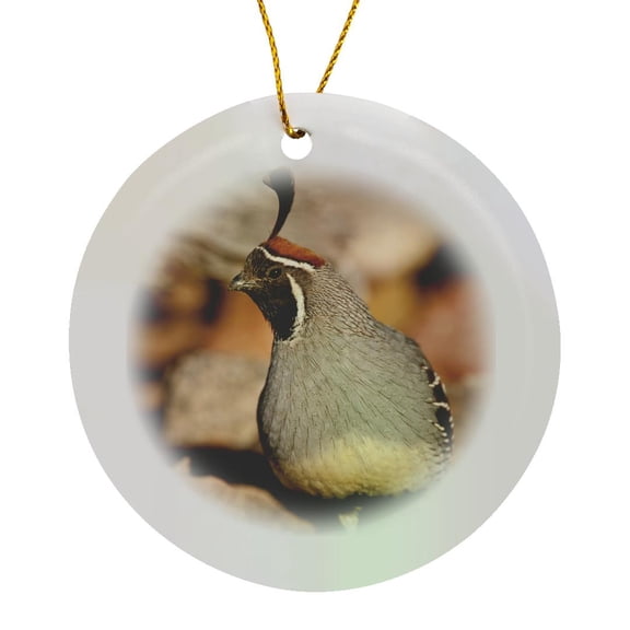 3drose, Male Gambels Quail, Bird, Se Arizona - Na02 Dno0640 - David Northcott, Circle Porcelain Ornament