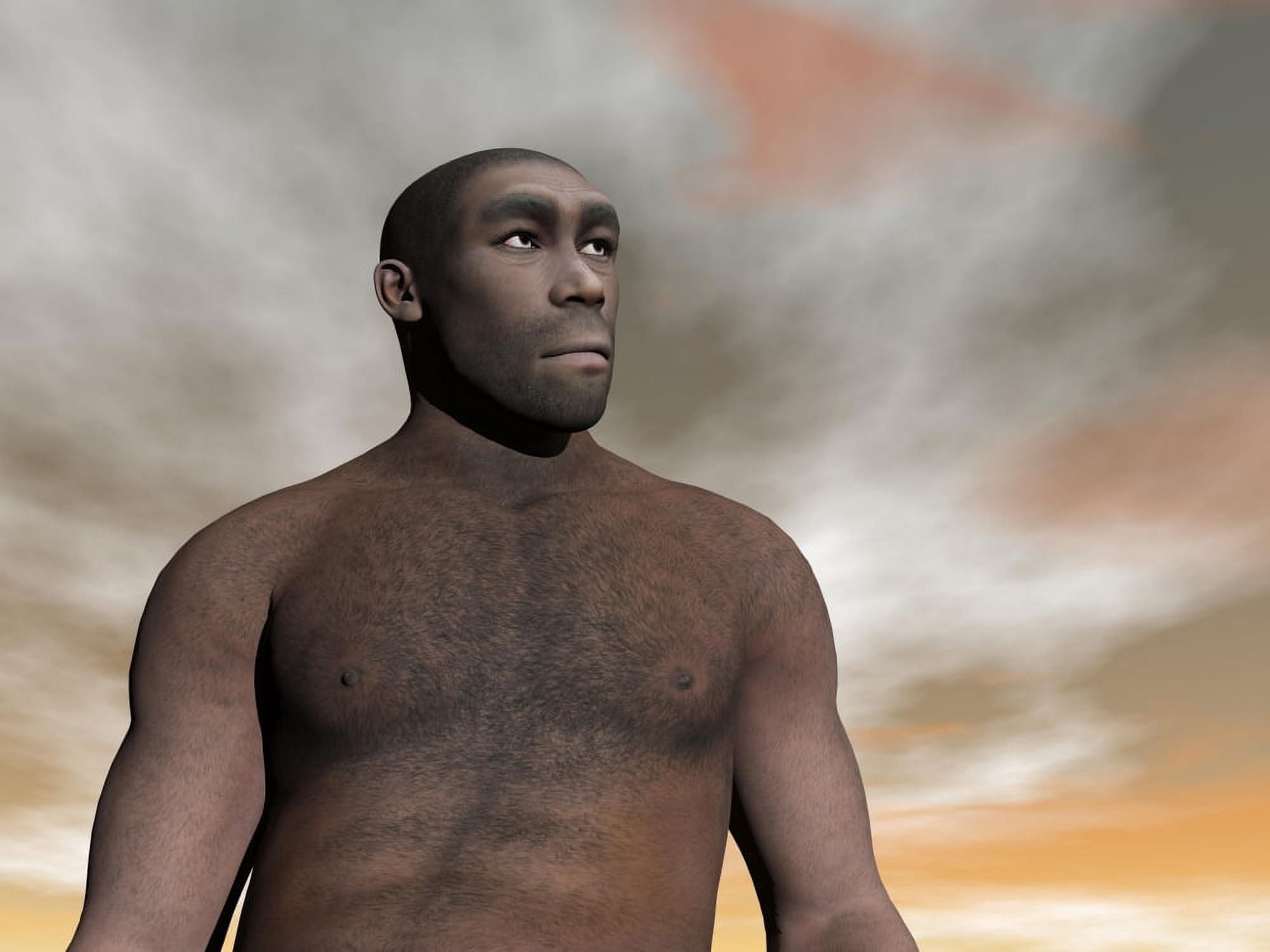 Male Homo Erectus an extinct species of hominid Canvas Art - Elena DuvernayStocktrek Images (33 x 25)