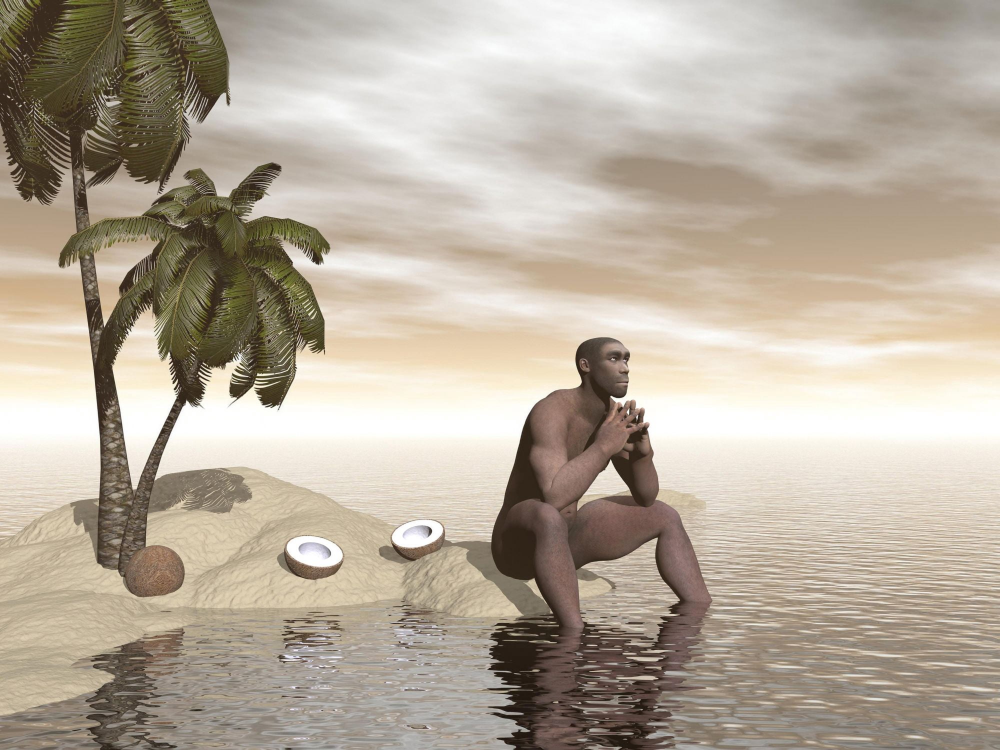 Male Homo Erectus sitting alone on a beach island next to coconuts Canvas Art - Elena DuvernayStocktrek Images (17 x 13)