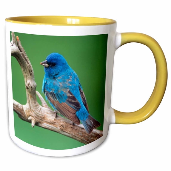 3drose, Male Indigo Bunting, Close-up, 15oz Two-tone Yellow Mug