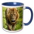 thumbnail image 1 of 3drose, Male Lion, Lake Nakuru National Park, Kenya - Af21 Aje0869 - Adam Jones, 15oz Two-tone Blue Mug, 1 of 6