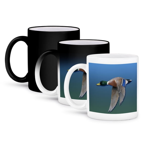 3dRose, Male Mallard Duck in Flight on a Blue to Green Gradient Background, 11oz Magic Transforming Mug