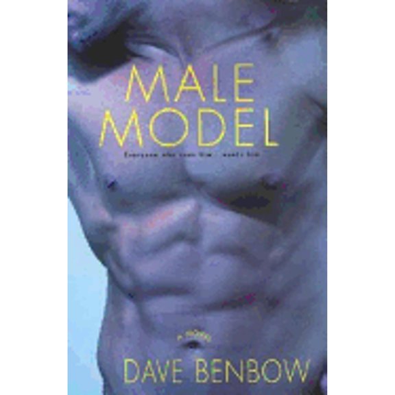 Pre-Owned Male Model (Hardcover) by Dave Benbow