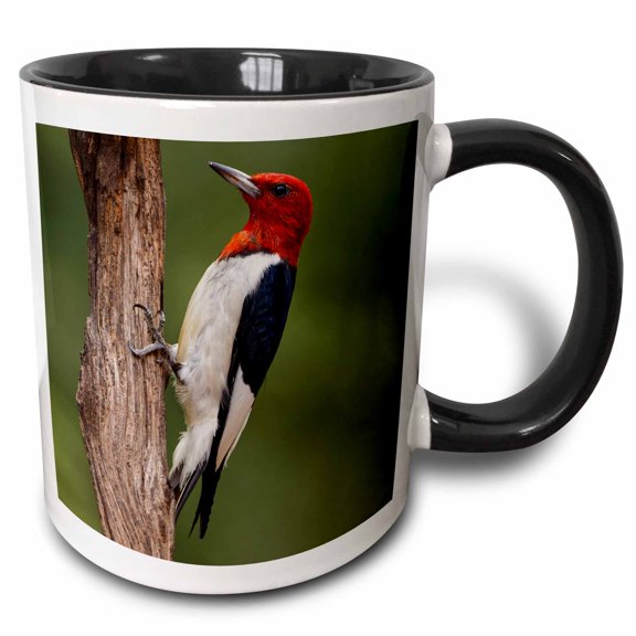 3drose, Male Red Bellied Woodpecker, 15oz Two-tone Black Mug