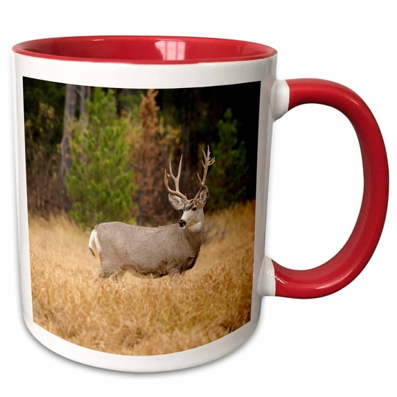 Male Rocky mountain mule deer, Grand Tetons NP, Wyoming, Usa 15oz Two-Tone Red Mug mug-260672-10