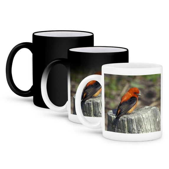 Male Scarlet Tanager Bird In Breeding Plumage - Na02 Aje0229 - Adam Jones, 11oz Magic Transforming Mug