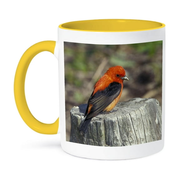 Male Scarlet Tanager Bird In Breeding Plumage - Na02 Aje0229 - Adam Jones, 11oz Two-Tone Yellow Mug