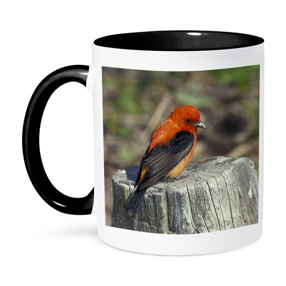 Male Scarlet Tanager Bird In Breeding Plumage - Na02 Aje0229 - Adam Jones, 15oz Two-Tone Black Mug
