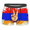 thumbnail image 1 of Male Sexy nian Coat Of Arms Underwear nia Flag Boxer Briefs Breathbale Shorts Panties Underpants, 1 of 7