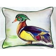 thumbnail image 1 of Male Wood Duck Large Indoor-Outdoor Pillow 16 in. x 20 in., 1 of 1