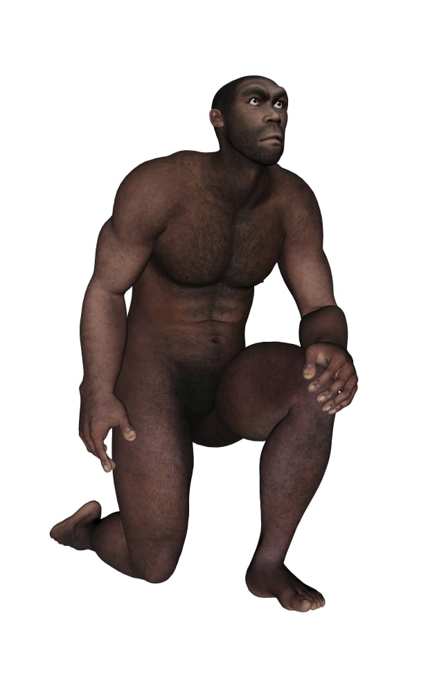 Male homo erectus kneeling Canvas Art - Elena DuvernayStocktrek Images (23 x 36)
