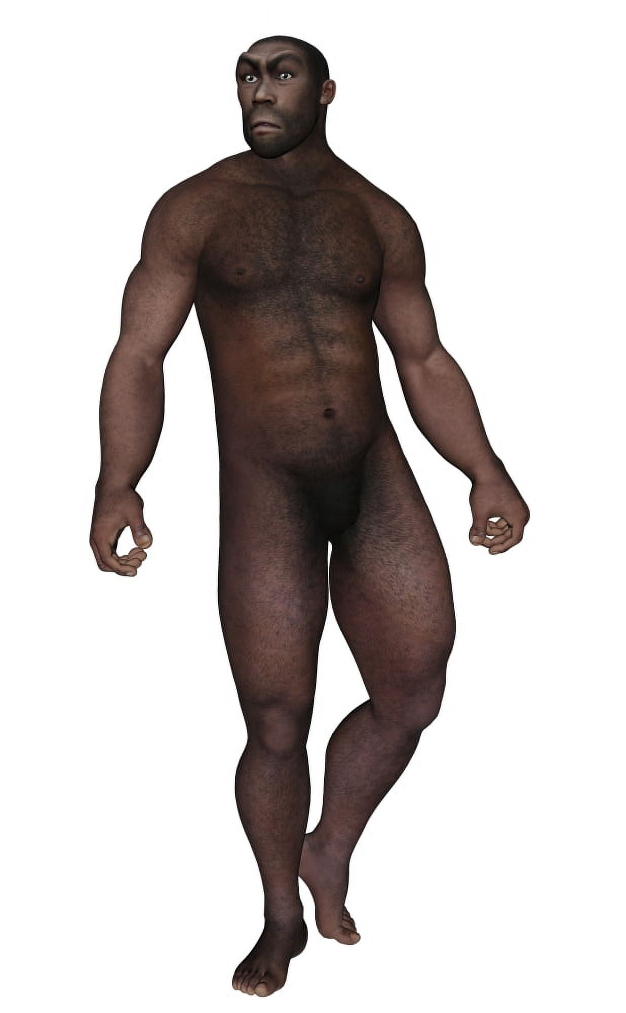 Male homo erectus looking aside Canvas Art - Elena DuvernayStocktrek Images (23 x 36)