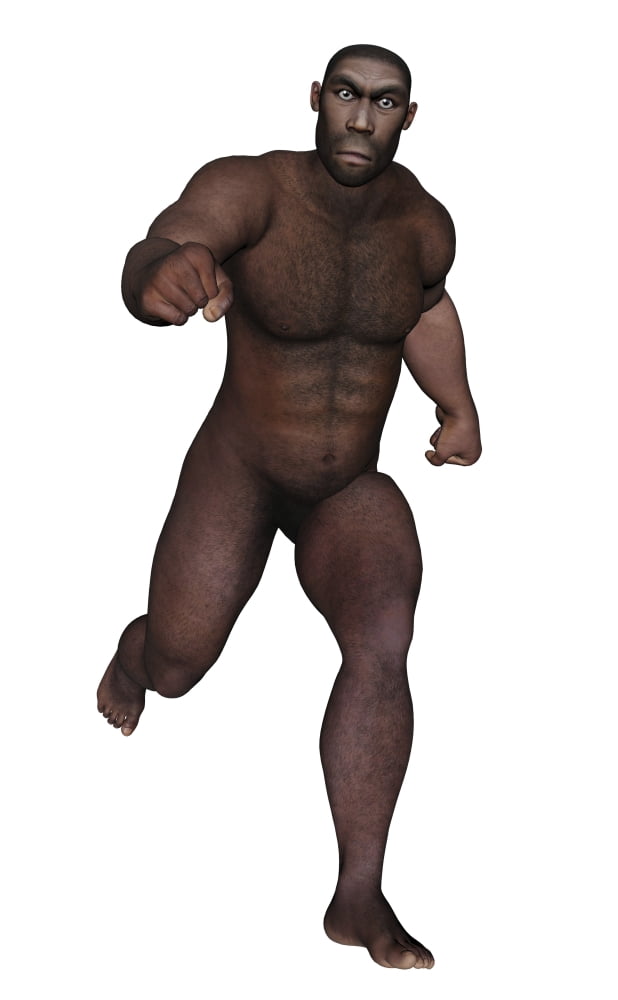 Male homo erectus running Canvas Art - Elena DuvernayStocktrek Images (23 x 36)