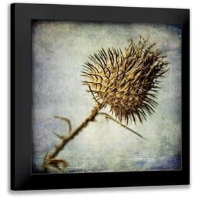 Malek, Honey 12x12 Black Modern Framed Museum Art Print Titled - Grunge Remnants II
