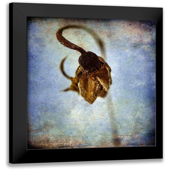 Malek, Honey 12x12 Black Modern Framed Museum Art Print Titled - Grunge Remnants VIII