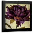 thumbnail image 1 of Malek, Honey 12x12 Black Modern Framed Museum Art Print Titled - Lush Vintage Florals IV, 1 of 5