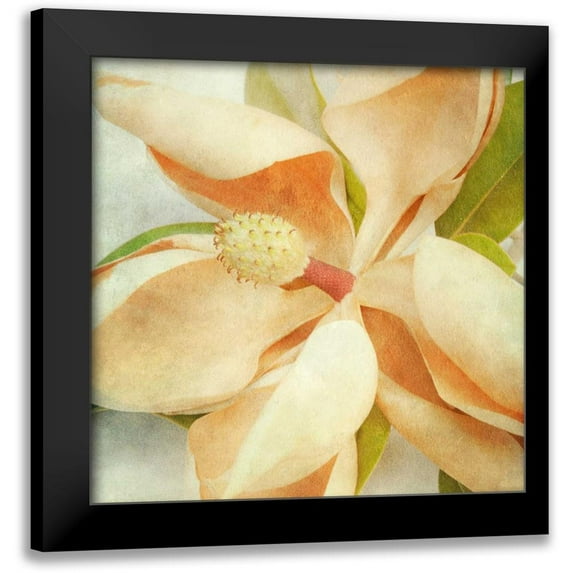 Malek, Honey 12x12 Black Modern Framed Museum Art Print Titled - Vintage Magnolia I