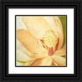 thumbnail image 1 of Malek, Honey 15x15 Black Ornate Wood Framed with Double Matting Museum Art Print Titled - Vintage Magnolia II, 1 of 4