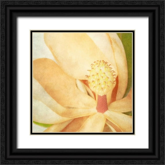 Malek, Honey 15x15 Black Ornate Wood Framed with Double Matting Museum Art Print Titled - Vintage Magnolia II