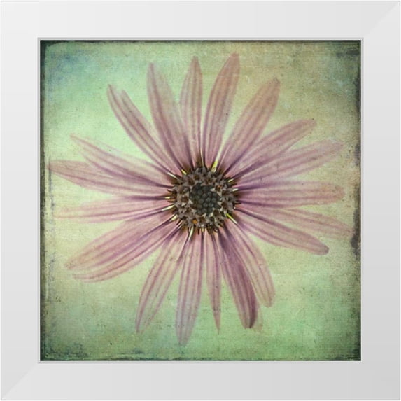Malek, Honey 15x15 White Modern Wood Framed Museum Art Print Titled - Lush Vintage Florals VIII