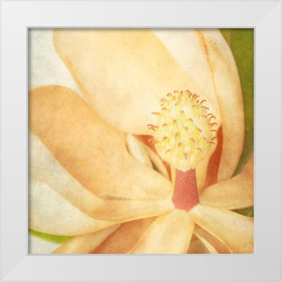 Malek, Honey 15x15 White Modern Wood Framed Museum Art Print Titled - Vintage Magnolia II