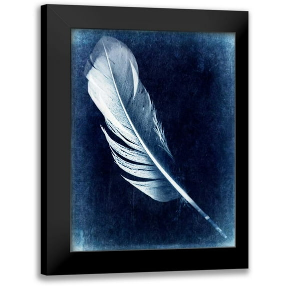 Malek, Honey 15x18 Black Modern Framed Museum Art Print Titled - Inverted Feather I