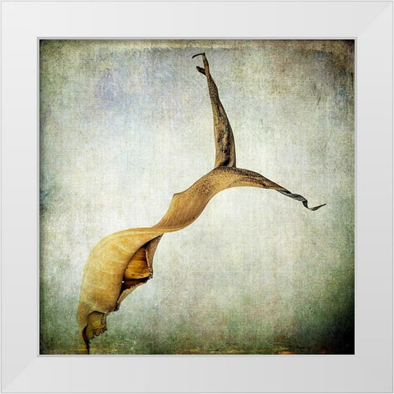 Malek, Honey 20x20 White Modern Wood Framed Museum Art Print Titled - Grunge Remnants IX