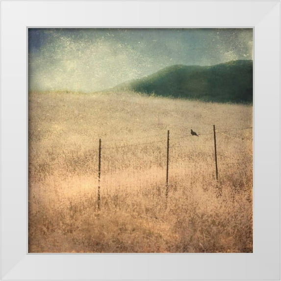 Malek, Honey 20x20 White Modern Wood Framed Museum Art Print Titled - In Country II