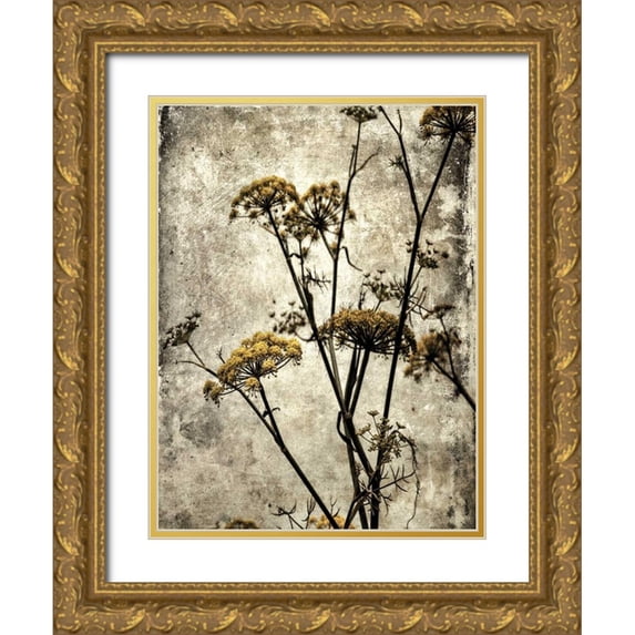Malek, Honey 25x32 Gold Ornate Wood Framed with Double Matting Museum Art Print Titled - Big Sur Yarrow II