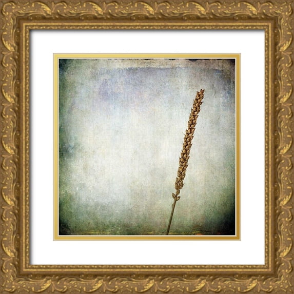 Malek, Honey 26x26 Gold Ornate Wood Framed with Double Matting Museum Art Print Titled - Grunge Remnants I